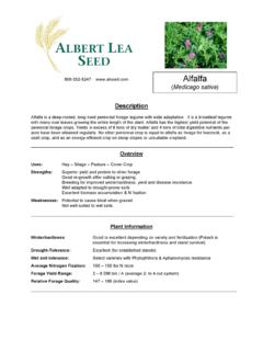Alfalfa - alseed.com