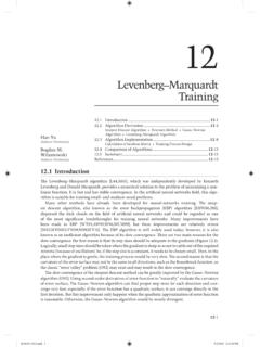 Levenberg–Marquardt Training