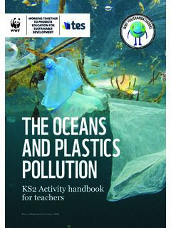 THE OCEANS AND PLASTICS POLLUTION - WWF