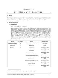 INFECTION WITH RANAVIRUS - oie.int
