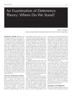 An Examination of Deterrence Theory: Where Do We Stand?