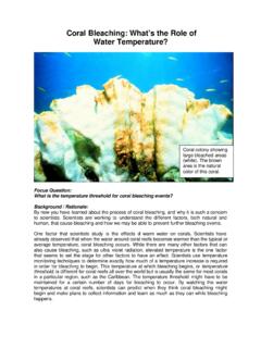 Coral Bleaching: What’s the Role of Water Temperature?