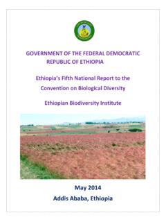 May 2014 Addis Ababa, Ethiopia