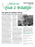 Hot spots for walleye fishing