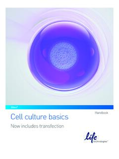 Cell culture basics Handbook - Fisher Scientific