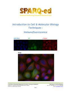 Introduction to Cell &amp; Molecular Biology Techniques ...