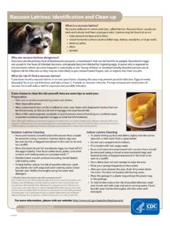 Raccoon Latrines: Identification and Clean-up