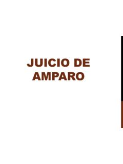 JUICIO DE AMPARO - cjyuc.gob.mx