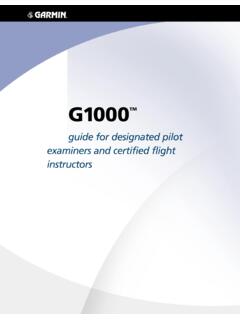 guide for designated pilot examiners and certified flight ...