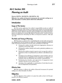 Planning an Audit - AICPA