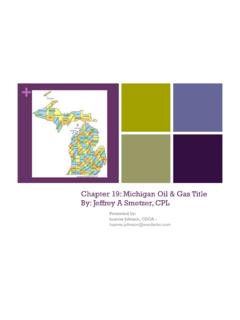 Chapter 19 - Michigan Oil Gas Title - Wild Apricot