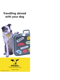 Travelling abroad with your dog - TheAA.com