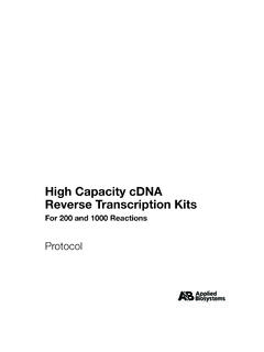 High Capacity cDNA Reverse Transcription Kits
