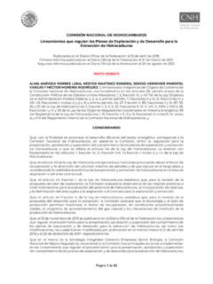 COMISI&#211;N NACIONAL DE HIDROCARBUROS Lineamientos …