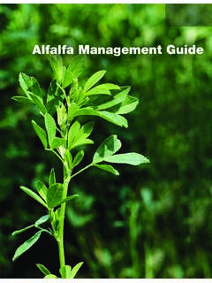 Alfalfa Management Guide - Agronomy