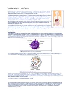 Viral Hepatitis B: Introduction - Hopkins Medicine