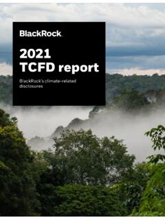 2021 TCFD report - BlackRock