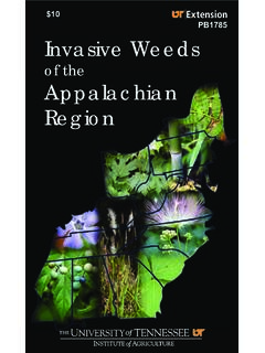 Invasive Weeds of the Appalachian Region