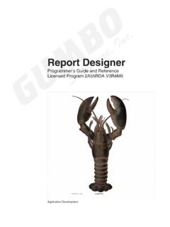 Report Designer Programmer's Guide and Reference