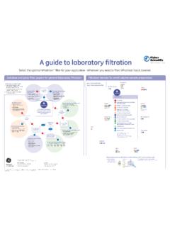 A guide to laboratory filtration - Fisher Scientific