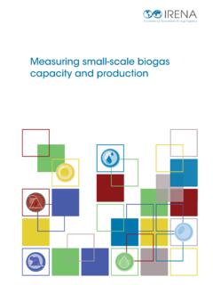 Measuring Small-scale Biogas Capacity and Production