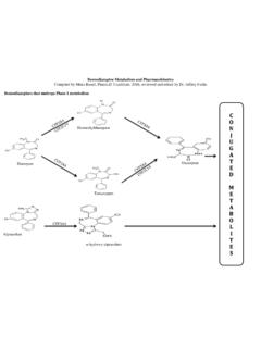 Benzodiazepine Metabolism and Pharmacokinetics ...