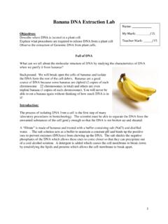 Banana DNA Extraction Lab - Mrs. Kornelsen's Classroom