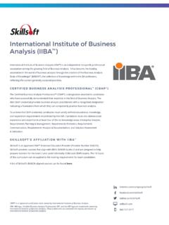 International Institute of Business Analysis (IIBA