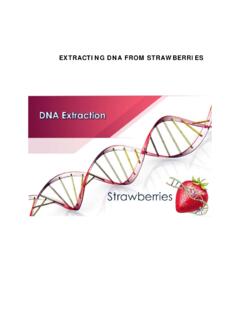 EXTRACTING DNA FROM STRAWBERRIES - Michigan