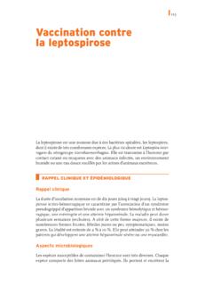 Vaccination contre la leptospirose - MesVaccins.net