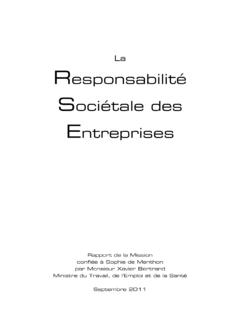 Rapport RSE okok - travail-emploi.gouv.fr