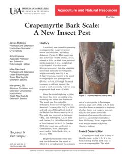 Crapemyrtle Bark Scale: A New Insect Pest - FSA7086