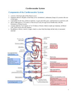 Cardiovascular System Components of the Cardiovascular …