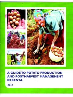 A GUIDE TO POTATO PRODUCTION AND POSTHARVEST …