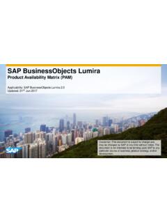 SAP BusinessObjects Lumira - Support