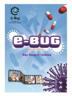 Key Stage 3 / Science - e-bug