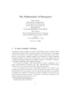 The Mathematics of Emergence - University of Chicago