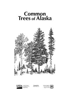 Common Trees of Alaska - US Forest Service