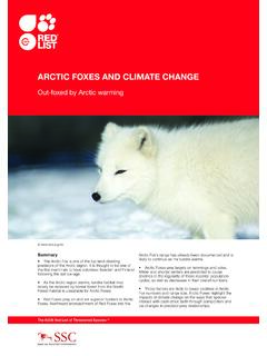 Arctic FoxeS And climAte chAnge - International Union for ...