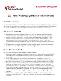 Feline Acromegaly: Pituitary Tumors in Cats