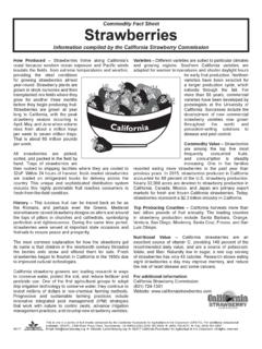 Commodity Fact Sheet Strawberries