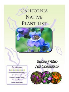 Fire-Resistant Plant List