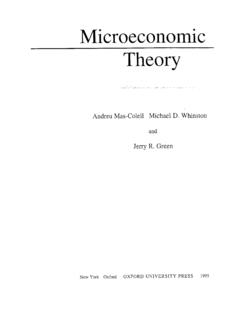 Microeconomic Theory - Brousseau