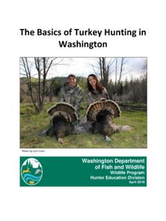 The Basics of Turkey Hunting in Washington