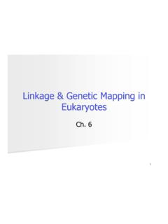 Linkage &amp; Genetic Mapping in Eukaryotes