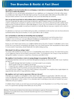 Tree Branches &amp; Roots: A Fact Sheet - Citizens Advice