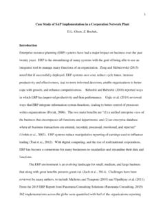 Case Study of ERP Implementation - Nestell &amp; Associates