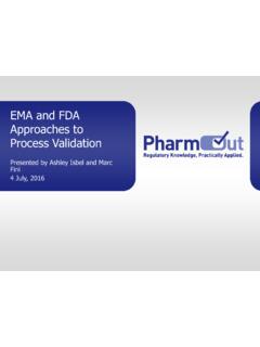 EMA and FDA Approaches to Process Validation