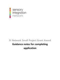 SI Network Grant Application - Sensory Integration