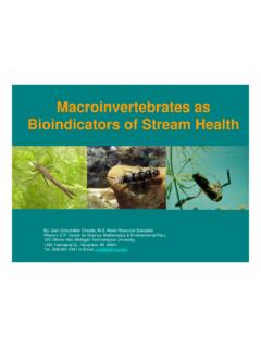 Macroinvertebrates as Bioindicators of Stream Health